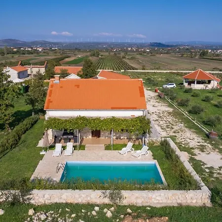 House Stone Curlew 6 *