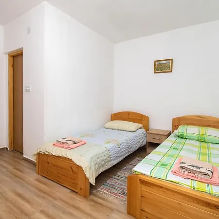 House Stone Curlew 6