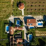 House Stone Curlew 6 * Lisane Tinjske