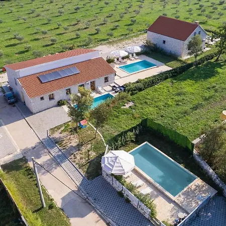 House Stone Curlew 6 *