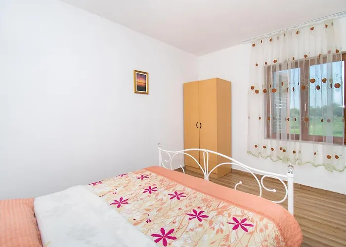 House Stone Curlew 6 *