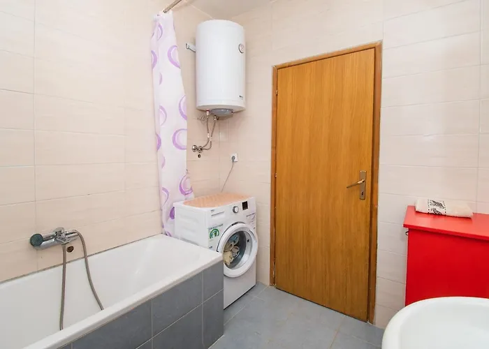 House Stone Curlew 6 * Lisane Tinjske